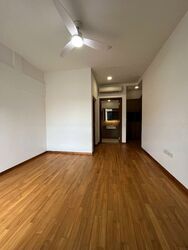 Holland Link (D10), Terrace #472830291